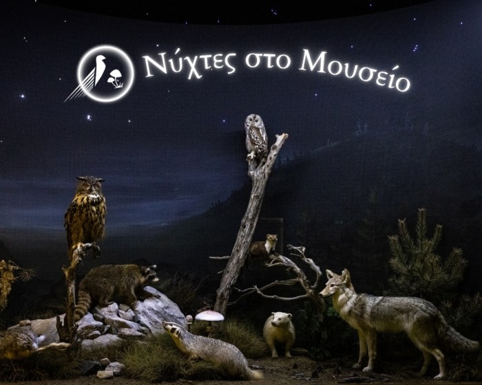 Νύχτες στο Μουσείο-Μία μαγευτική μουσειακή εμπειρία ήχου, εικόνων και γεύσεων