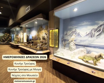 Ανακοινώθηκαν οι ημερομηνίες για το Κυνήγι Τρούφας, το Κυνήγι Τρούφας με Άλογα και τις Νύχτες στο Μουσείο για το 2026