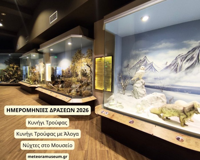 Ανακοινώθηκαν οι ημερομηνίες για το Κυνήγι Τρούφας, το Κυνήγι Τρούφας με Άλογα και τις Νύχτες στο Μουσείο για το 2026