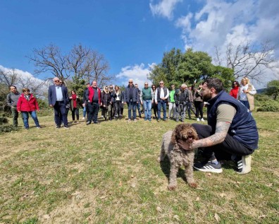 Truffle hunting for the Municipality officials and the Hotels of the region
