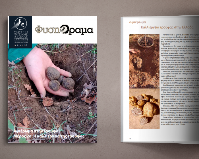 Museum's e-Magazine FysiOrama 33rd issue