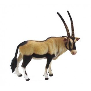 Αντιλόπη Oryx