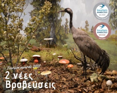 The Museum won two awards at Tourism Awards 2020
