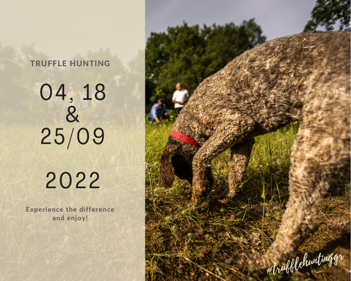 Truffle hunting - September 2022 dates Truffle hunting - September 2022 dates