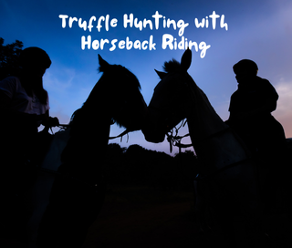 truffle hunting with horseback riding at meteora