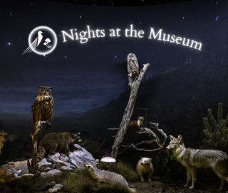 nights at the museum