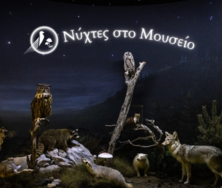νυχτες στο μουσείο
