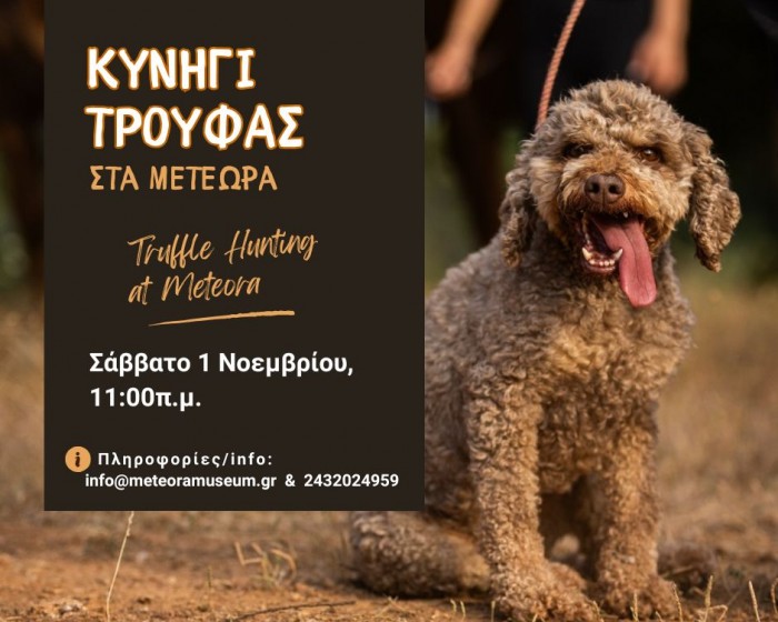 Κυνήγι Τρούφας στα Μετέωρα Σάββατο 1 Νοεμβρίου 2025 Κυνήγι Τρούφας στα Μετέωρα Σάββατο 1 Νοεμβρίου 2025