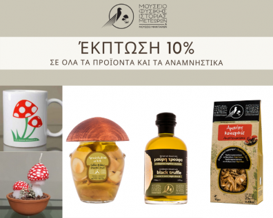 10% discount on all the products and souvenirs