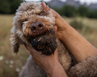 Δράσεις Φύσης και Πολιτισμού από το Μουσείο για το Τριήμερο της Αποκριάς