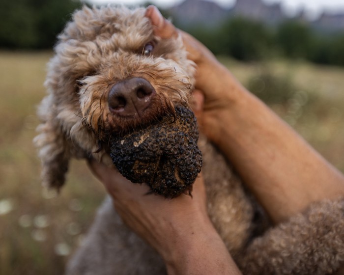 Δράσεις Φύσης και Πολιτισμού από το Μουσείο για το Τριήμερο της Αποκριάς