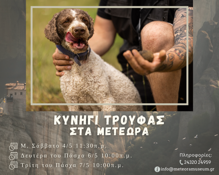 Κυνήγι Τρούφας στα Μετέωρα τις ημέρες του Πάσχα Κυνήγι Τρούφας στα Μετέωρα τις ημέρες του Πάσχα
