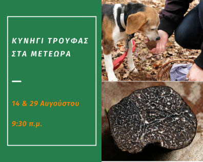 Κυνήγι Τρούφας στις 14 και 29 Αυγούστου