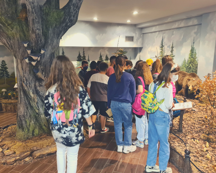 The Museum welcomes pupils again! The Museum welcomes pupils again!