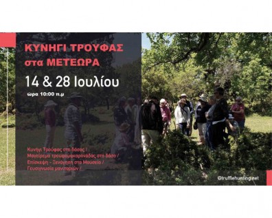Κυνήγια Τρούφας στις 14 και 28 Ιουλίου για μεμονωμένους επισκέπτες