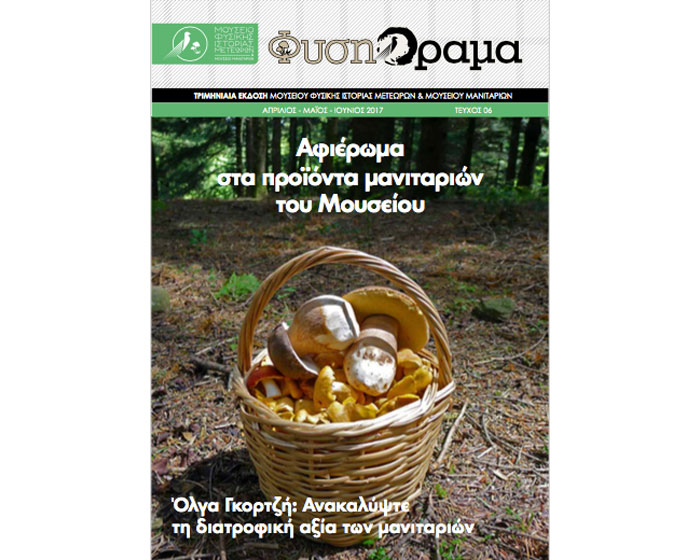 Κυκλοφόρησε το 6ο τεύχος του περιοδικού ΦύσηΟραμα Κυκλοφόρησε το 6ο τεύχος του περιοδικού ΦύσηΟραμα