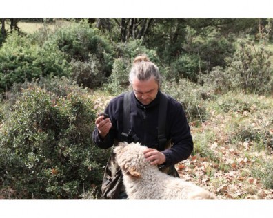 Τα ΜΜΕ γράφουν για το “κυνήγι τρούφας”