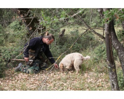 Δείτε ζωντανά το Τρουφοκυνήγι στην εκπομπή “Εδώ που τα λέμε” στην ΕΤ2