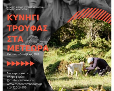 Ξεκινά το Κυνήγι Τρούφας στα Μετέωρα