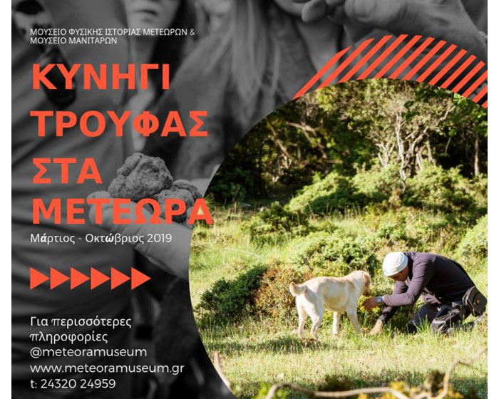 Ξεκινά το Κυνήγι Τρούφας στα Μετέωρα Ξεκινά το Κυνήγι Τρούφας στα Μετέωρα