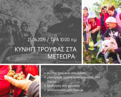 Κυνήγι Τρούφας στις 23 Ιουνίου για μεμονωμένους επισκέπτες
