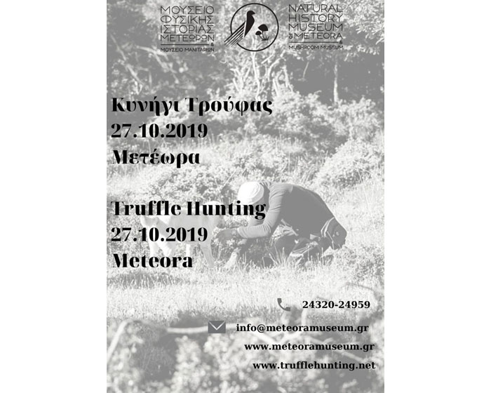 Κυνήγι Τρούφας στις 27/10 για μεμονωμένους επισκέπτες Κυνήγι Τρούφας στις 27/10 για μεμονωμένους επισκέπτες