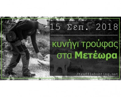 Κυνήγι Τρούφας από το Μουσείο στις 15 Σεπτεμβρίου