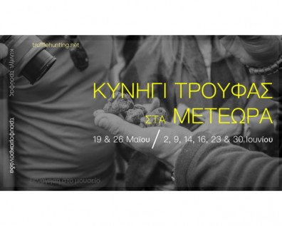 Κυνήγια Τρούφας για μεμονωμένους επισκέπτες