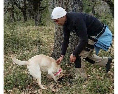Ξεκινά αρχές Απρίλη το Κυνήγι Τρούφας στα Μετέωρα
