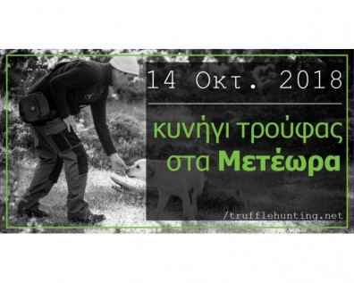 Κυνήγι Τρούφας από το Μουσείο στις 14 Οκτωβρίου