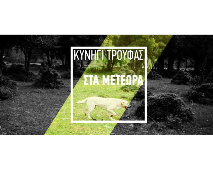 Κυνήγι Τρούφας στις 30 Ιουνίου, Κυριακή για μεμονωμένους επισκέπτες Κυνήγι Τρούφας στις 30 Ιουνίου, Κυριακή για μεμονωμένους επισκέπτες