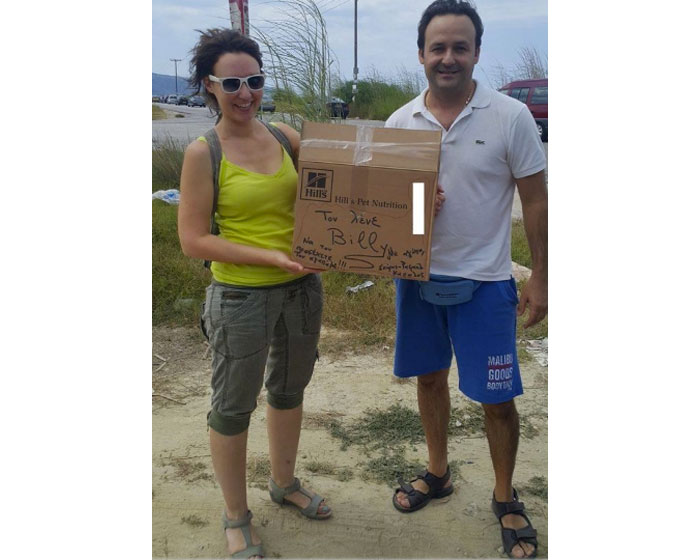 Ένας μικρός μπούφος σώθηκε Ένας μικρός μπούφος σώθηκε