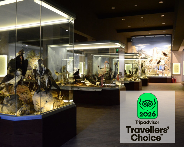 Διεθνής διάκριση για το Μουσείο - 5ο στην Ευρώπη