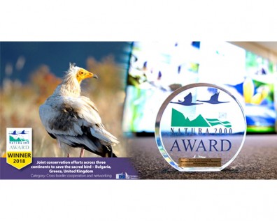 Βραβείο NATURA 2000 στις δράσεις για την προστασία του Ασπροπάρη