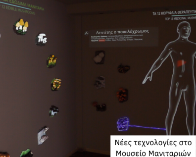 New technology used in Mushroom's Museum new part