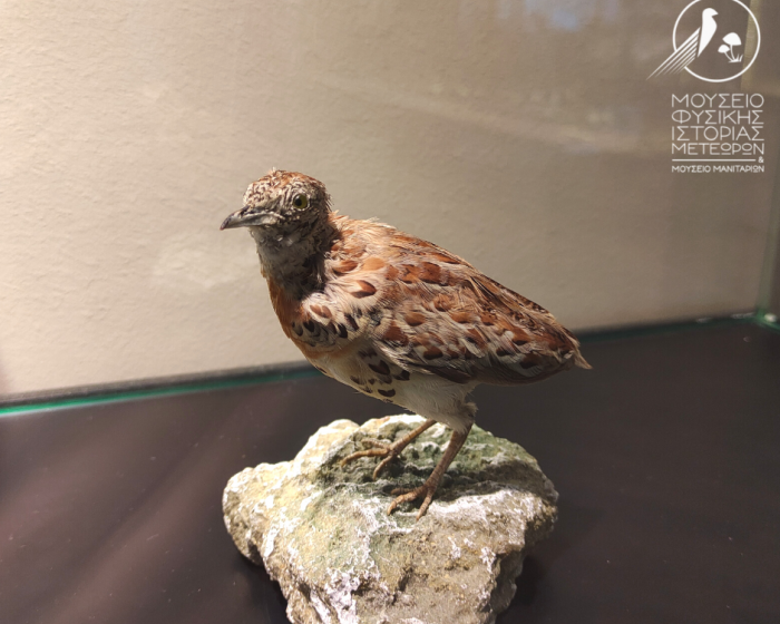 The exhibit of the month for September 2022 The exhibit of the month for September 2022