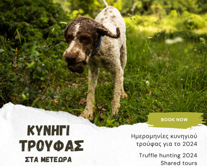 Ημερομηνίες για Κυνήγι Τρούφας στα Μετέωρα 2024 Ημερομηνίες για Κυνήγι Τρούφας στα Μετέωρα 2024