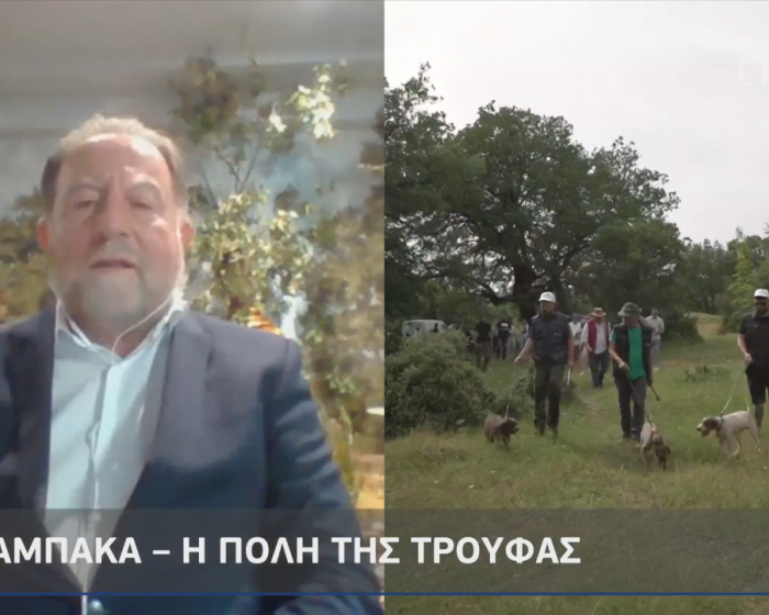 The Truffle Hunting on ΕΡΤ NEWS The Truffle Hunting on ΕΡΤ NEWS